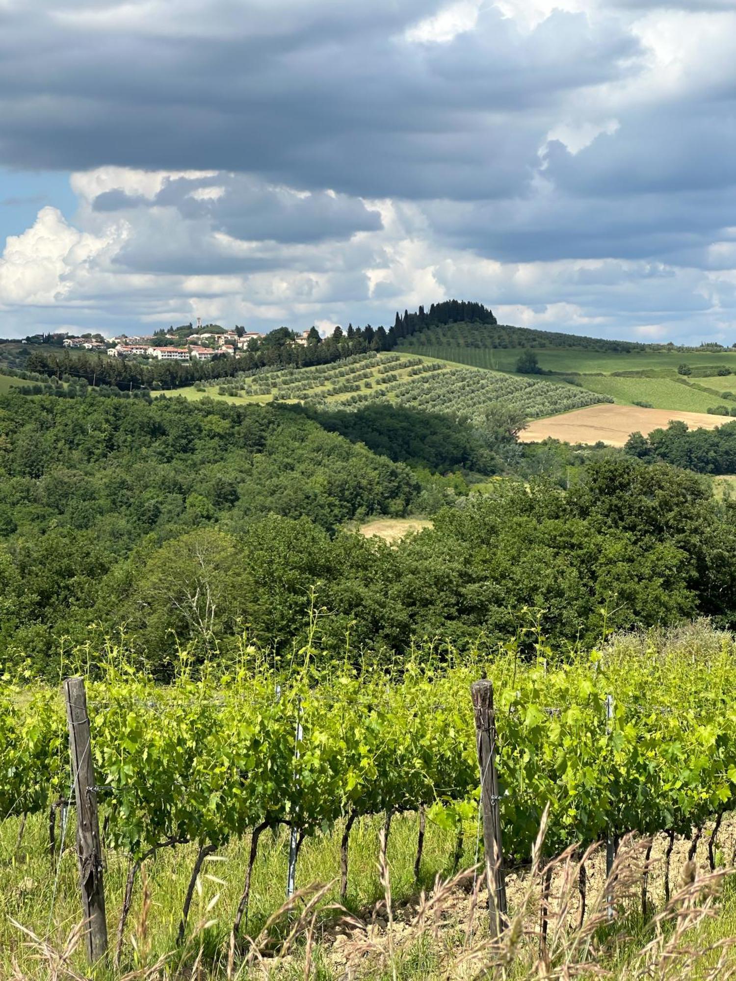 Agriturismo Fattoria Sant'Appiano バルベリーノ・ヴァル・デルサ エクステリア 写真